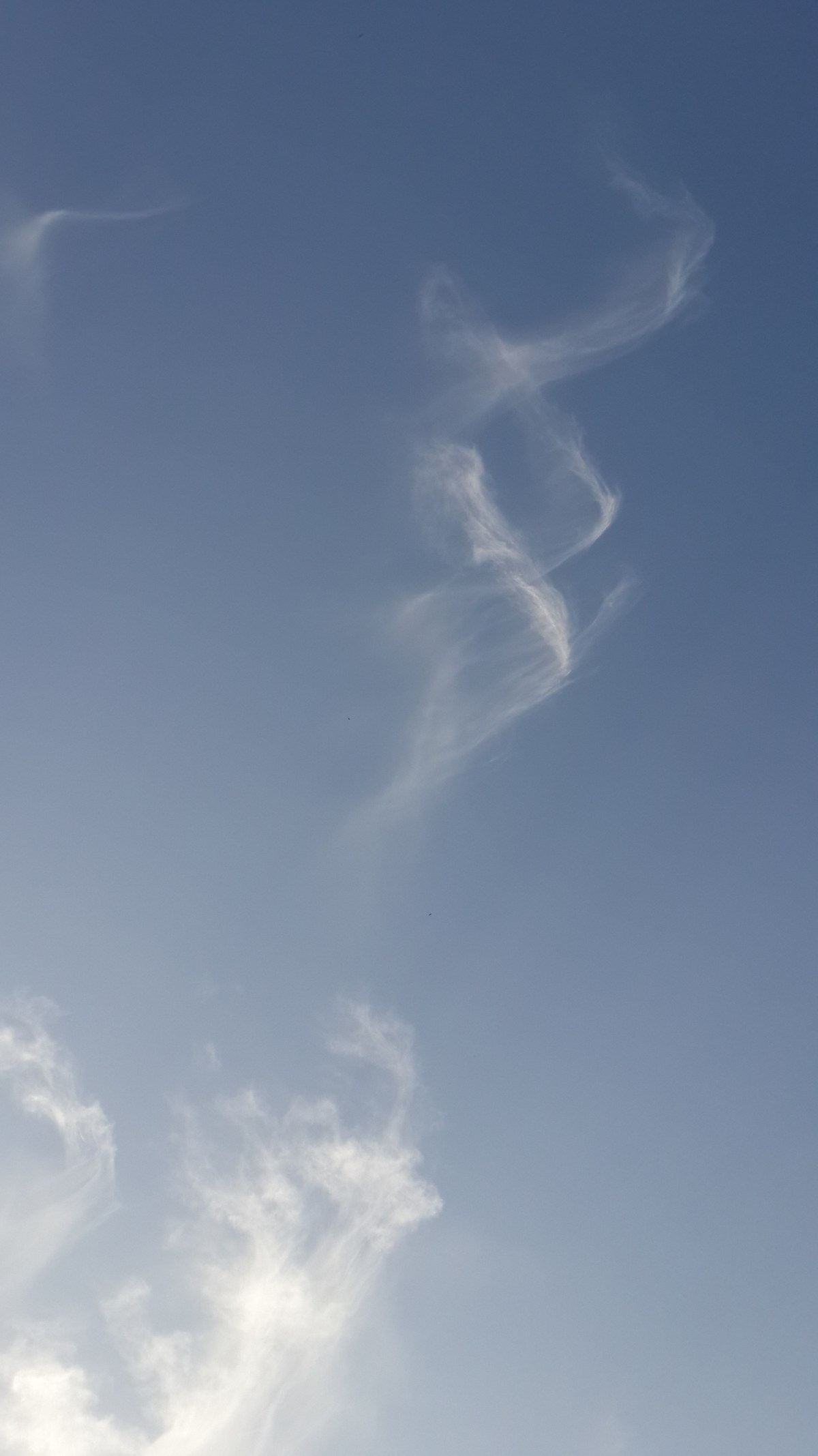 Nature's Infinity
